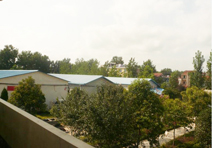 QIWANG QIWANG